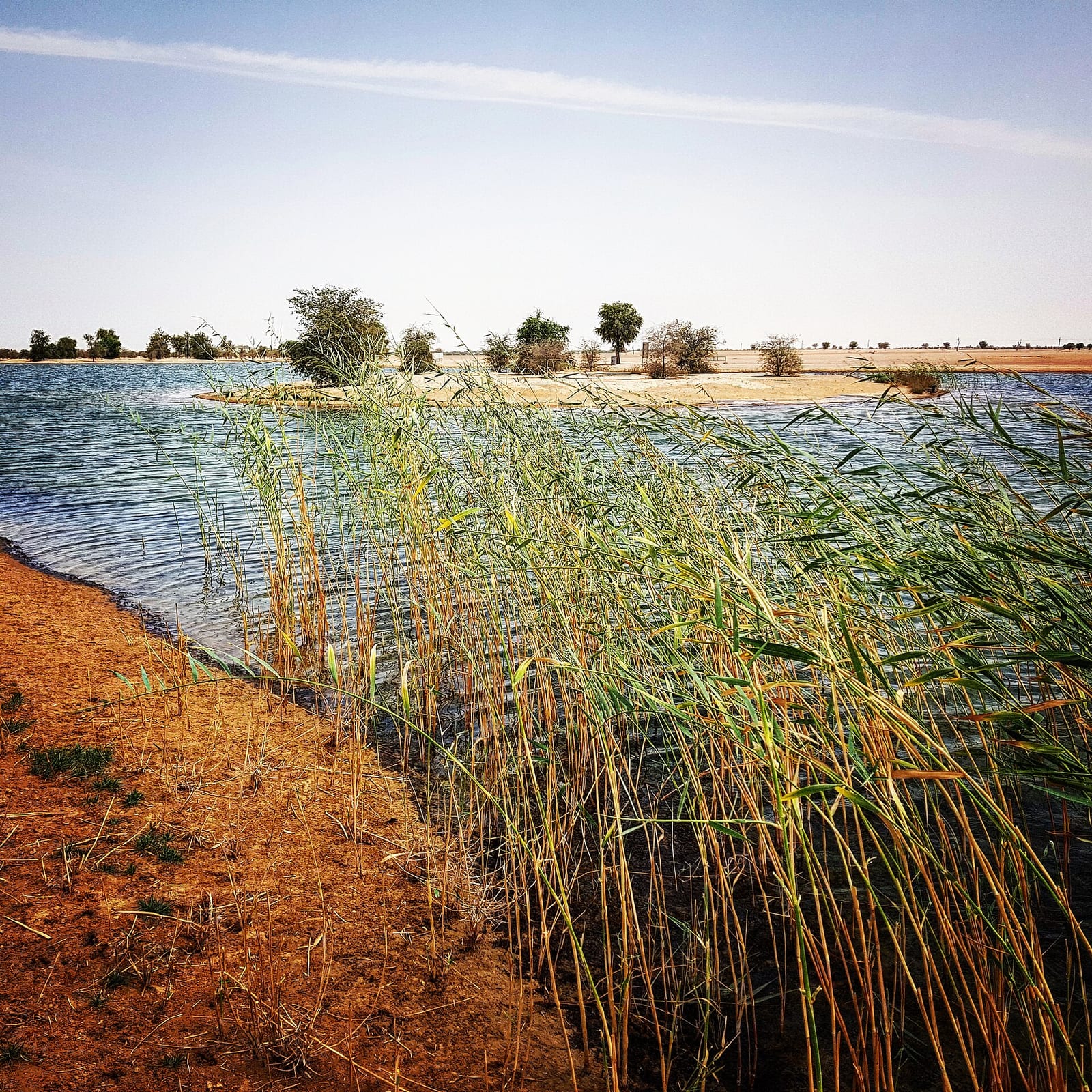 Al Qudra Lakes, Dubai